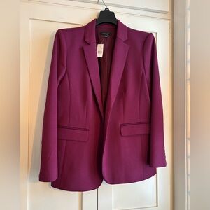 Ann Taylor Suit. Tags still on. Coat size 12; suit size 10.